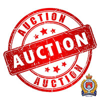 Kingston Bike Auction