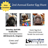 Kingston 4paws Easter egg hunt