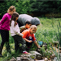 Wintergreen Studios presents Land art BioBlitz