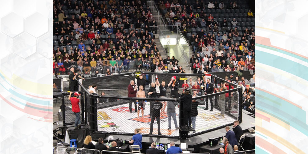 Live MMA in Kingston, Things to Do in Kingston