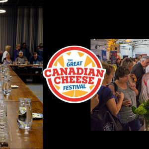 Kingston Festival
